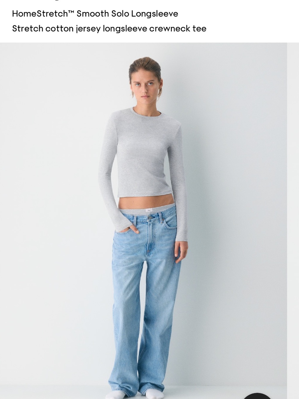 Aritzia HomeStretch Smooth Solo Long Sleeve Stretch Cotton Jersey crewneck tee